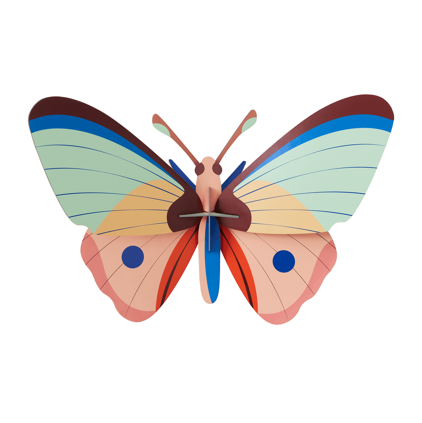 PAPILLON CATTLEHEART_studio_roof_taille_l_la_petite_boite_jaune