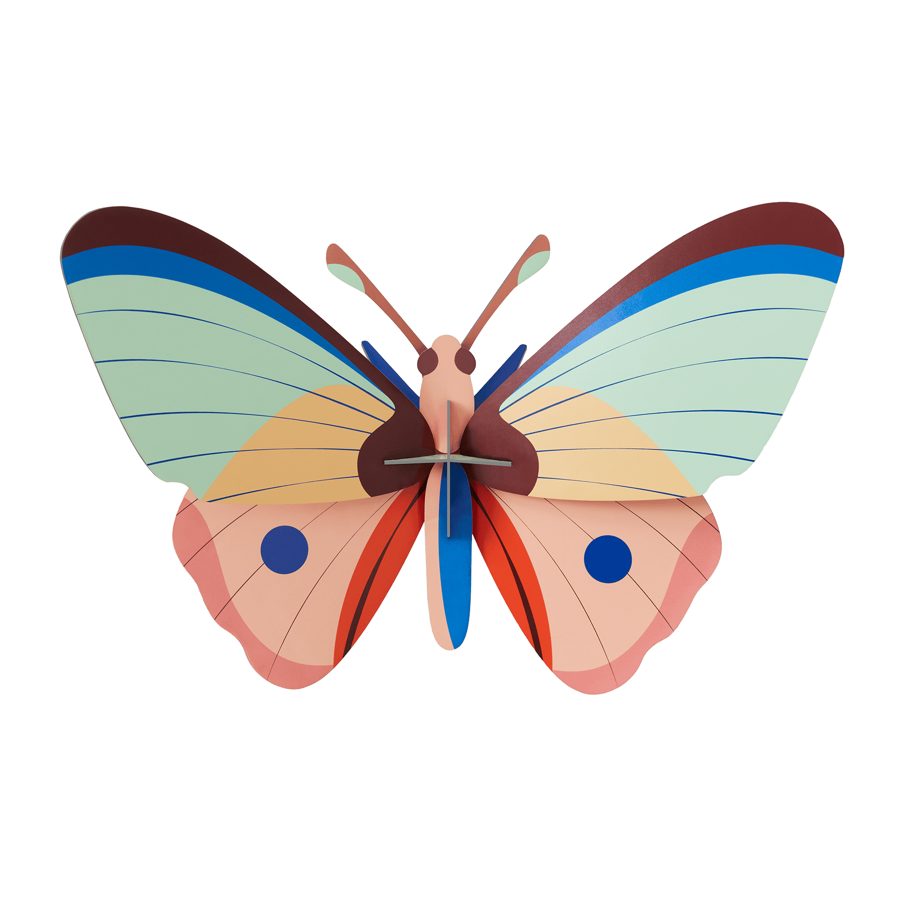 PAPILLON CATTLEHEART_studio_roof_taille_l_la_petite_boite_jaune