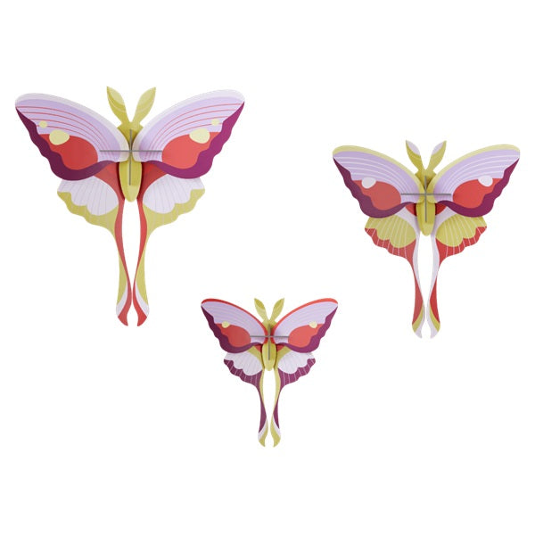Décoration murale 3D Papillons et insectes Taille L STUDIO ROOF