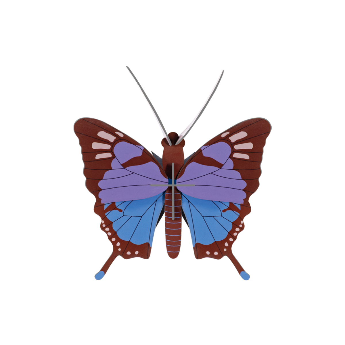 PAPILLON CRYSALUS STUDIO ROOF - LA PETITE BOITE JAU?NE