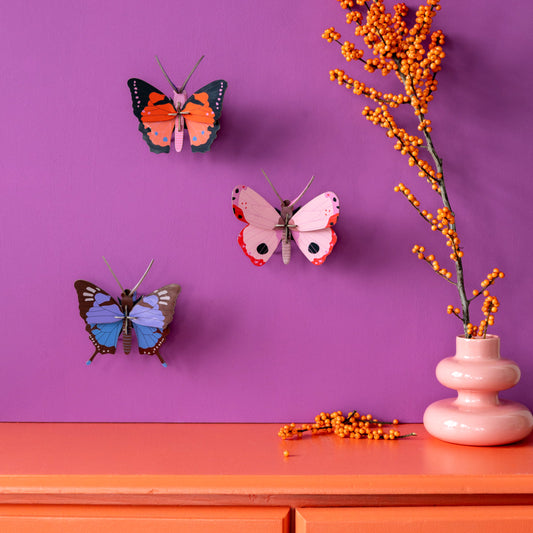 PAPILLON CRYSALUS STUDIO ROOF - LA PETITE BOITE JAU?NE
