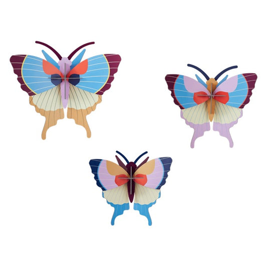 Papillons Studio Roof Taille L