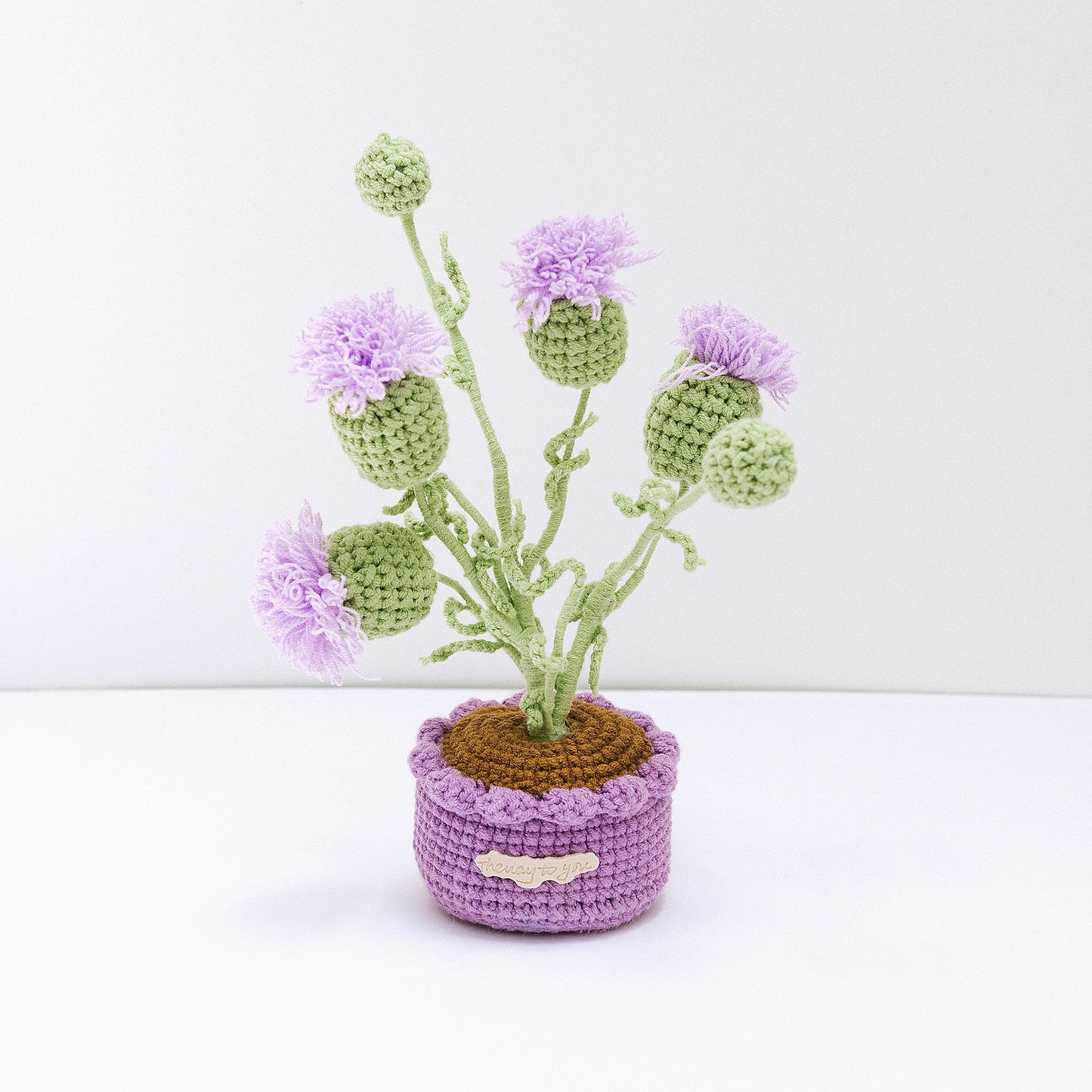 Chardon en pot au crochet. 