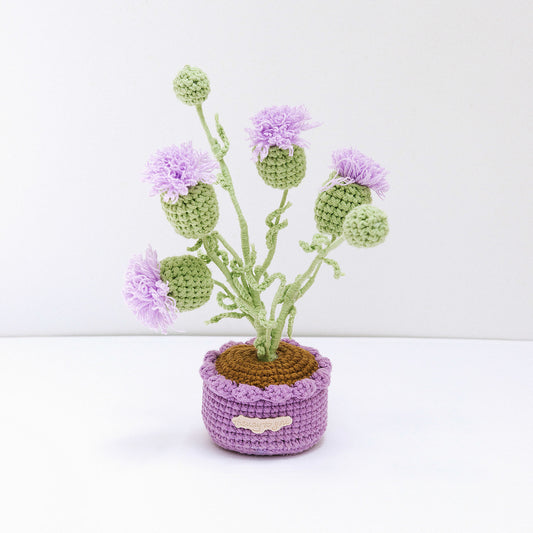 Chardon en pot au crochet. 