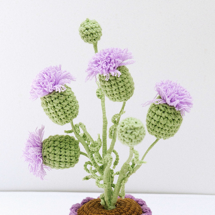 Chardon au crochet. 