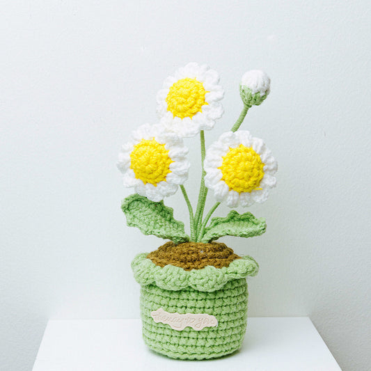 Marguerites en crochet en pot. 