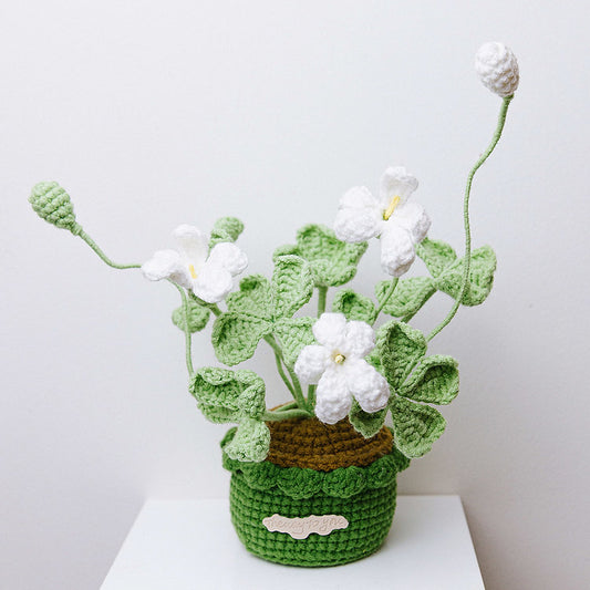 Trèfle en pot en crochet.