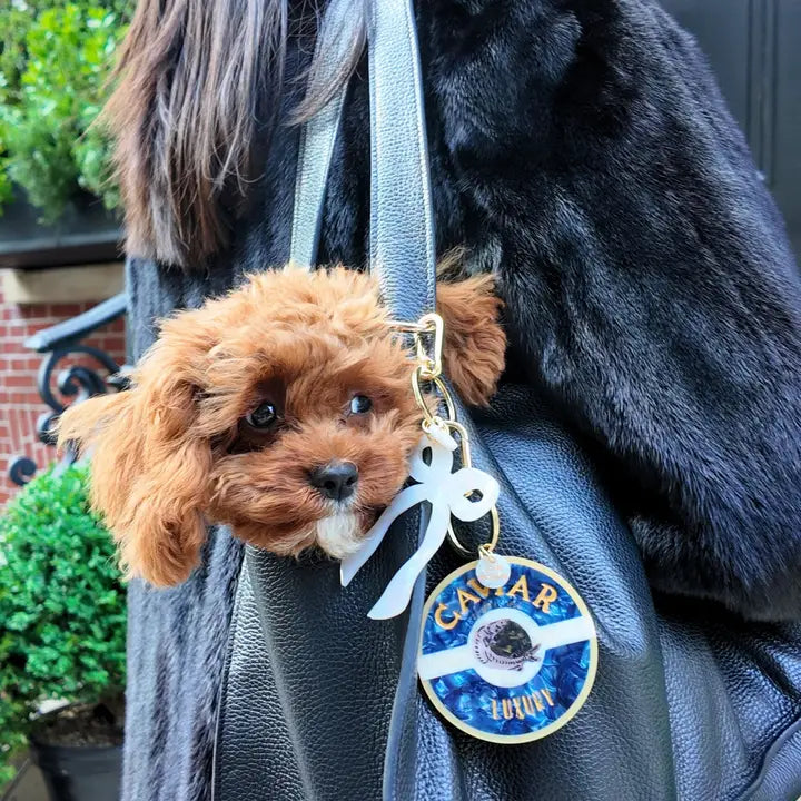 PORTE_CLE_OU_CHARMS_DE_SAC_CAVIAR_1_-_LA_PETITE_BOITE_JAUNE