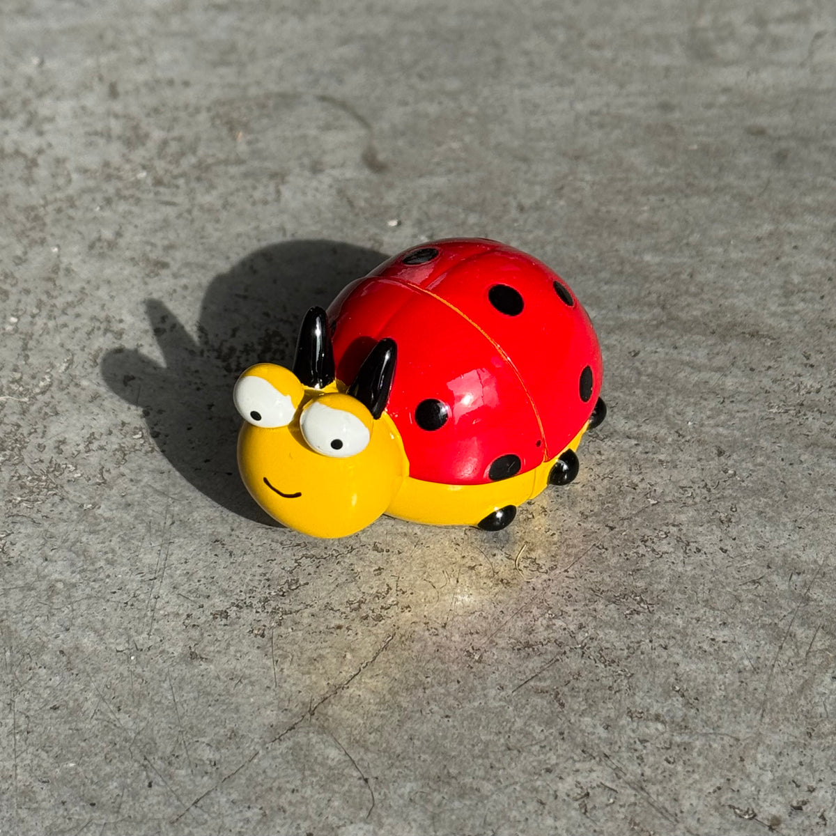 Porte-photos aimantés en forme de coccinelle.