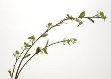 Charger l&#39;image dans la galerie, Branche de Symphorine blanche ou rose
