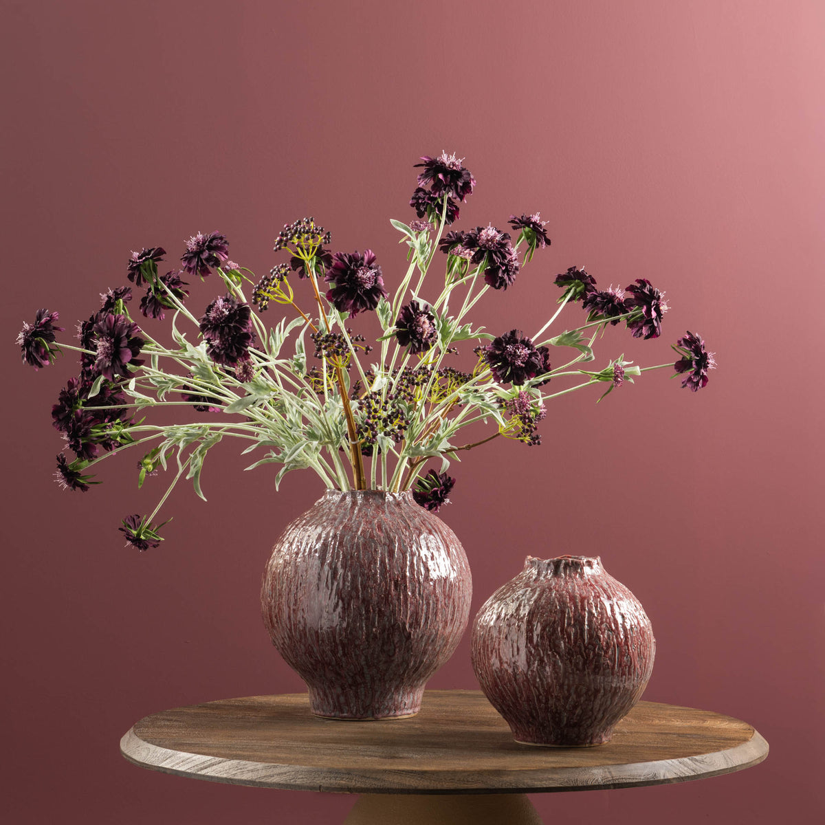 TIGE DE FLEURS SCABIEUSE PRUNE - LA PETITE BOITE JAUNE