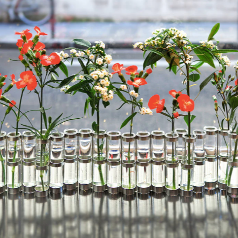 VASE TSE TSE EN TUBS DE VERRE