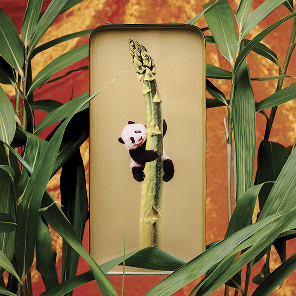 Vide-poche rectangulaire en métal verni, modèle Sasha, fond vert jaune kaki.