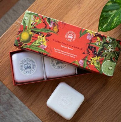 coffret de 3 savons kews