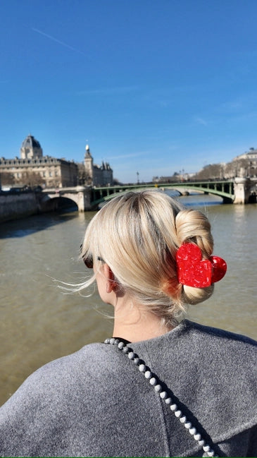 Pince maxi pour cheveux trop funs ecofriendly from NYC