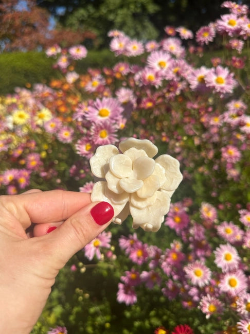 Pince maxi pour cheveux trop funs ecofriendly from NYC