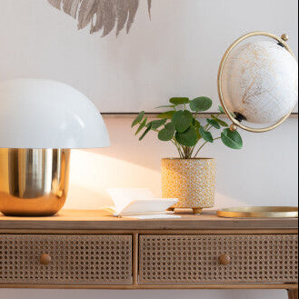 plante en plastique vert pot