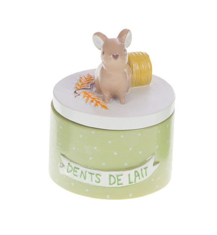 Boite à dents - Modèles colorés & ludiques