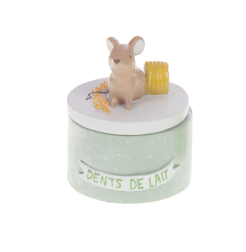 Boite à dents - Modèles colorés & ludiques