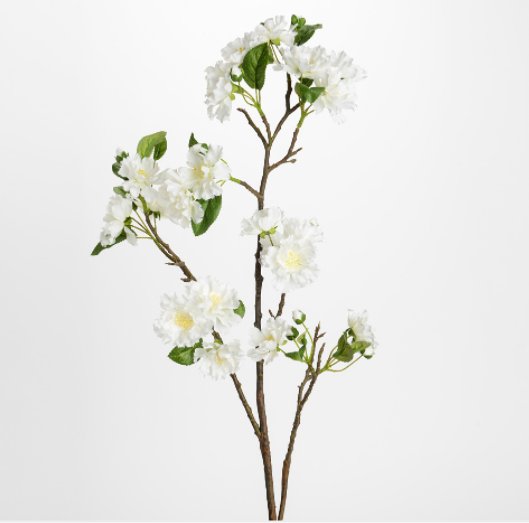 Grande branche de cerisier blanc
