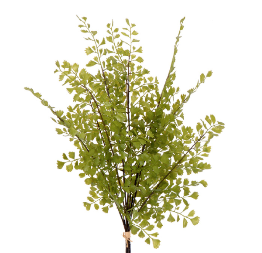 Bouquet capillaire formé de petites fougères