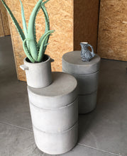 Charger l&#39;image dans la galerie, Cactus Aloe en pot

