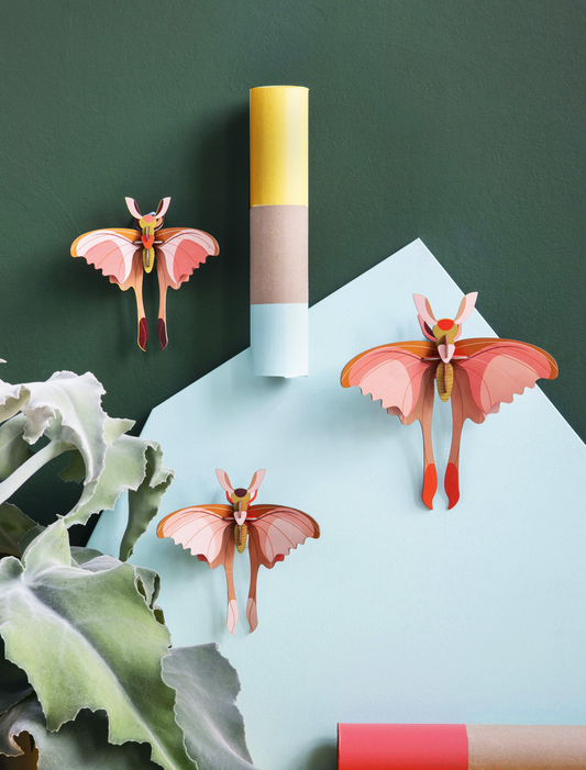 Décoration murale 3D Papillons par 3 STUDIO ROOF