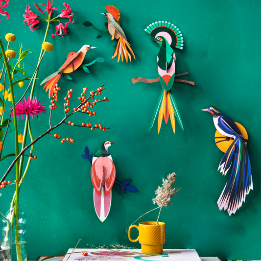 oiseaux taille m studio roof 